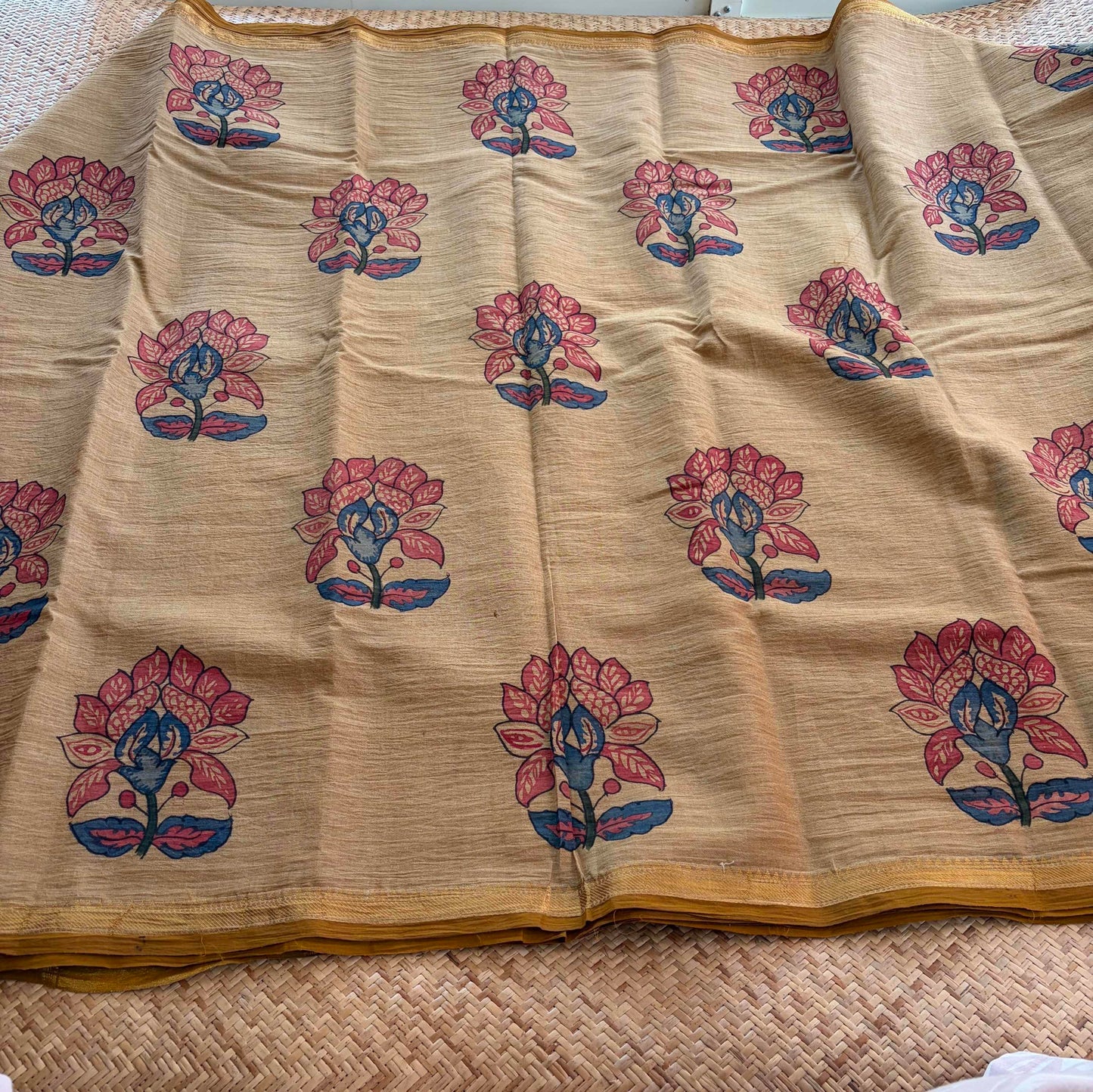 Biscuit Kalamkari Hand Painted on Chettinad Cotton saree