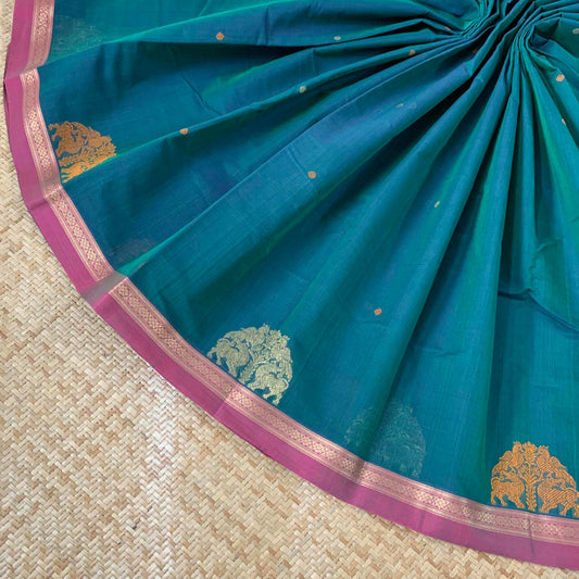 Kanchipuram Cotton Saree, Handwoven Blue Double Tone Saree with Pink Border and Grand Pallu