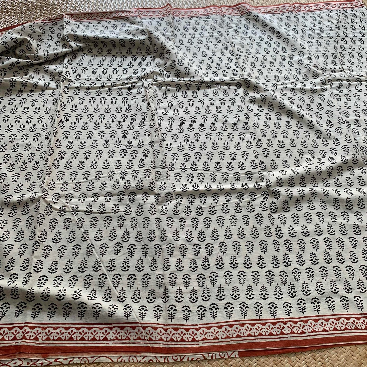 Mul Mul Cotton saree, Bagru Hand Block Printed, Beige